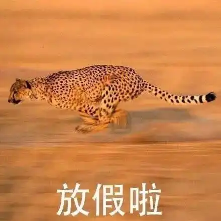 放假了搞笑表情包合集
