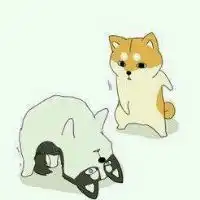 神烦狗图片微信头像微信头像图片大全
