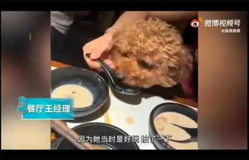 匪夷所思女子用餐厅勺子喂宠物狗还炫耀,店家扔掉全部餐具并全面消杀
