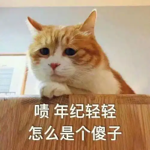 papi酱晒孕期与猫同床照片,那些说怀孕不能养猫的人都进来给我看
