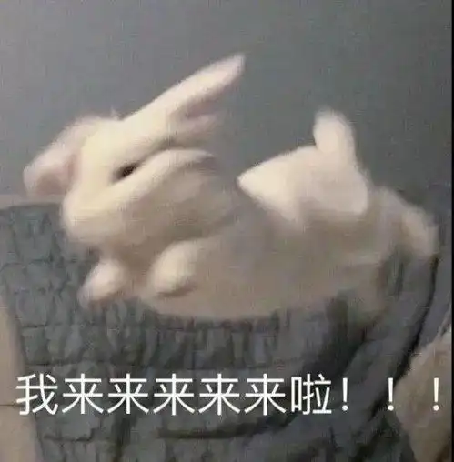 直播预告丨谁会是冠军今晚见分晓
