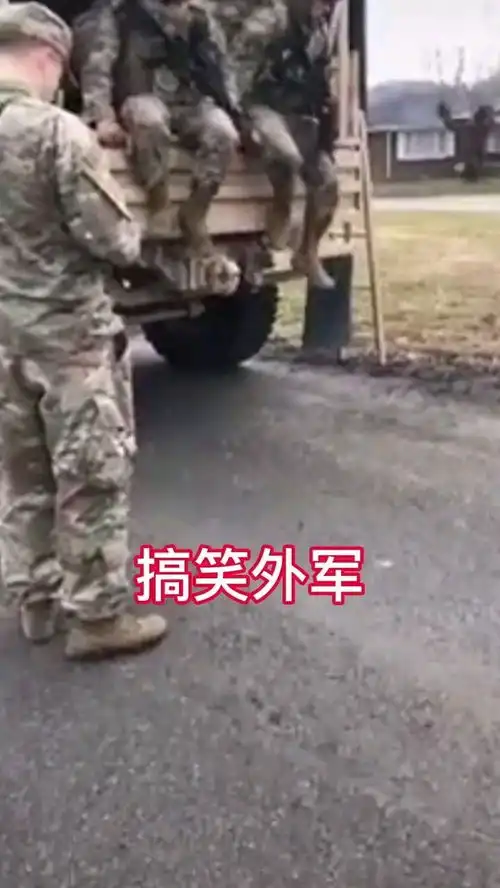 搞笑外军军事笑死人不偿命系列搞笑
