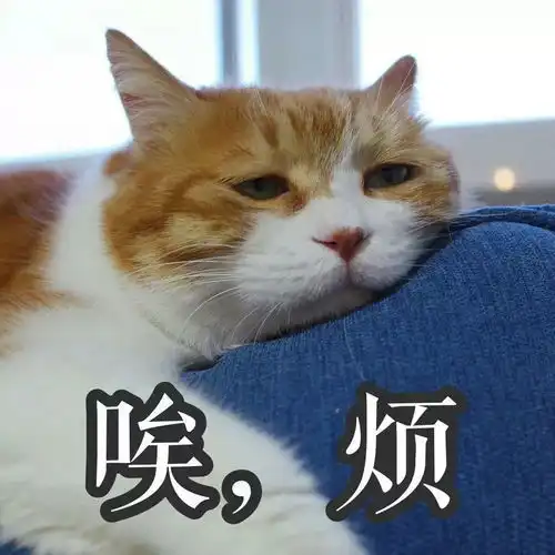 爆笑文案还有三周过年,我过年回家的用途给亲戚们过嘴瘾
