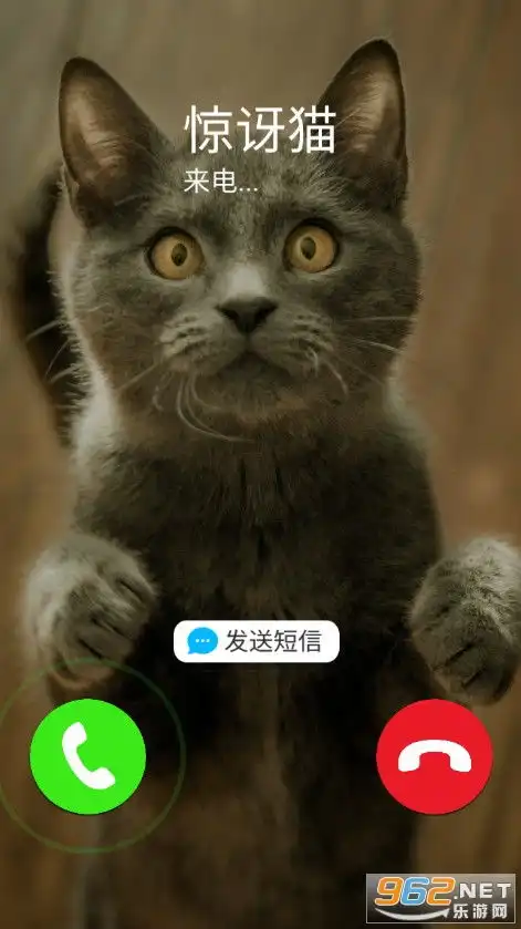 假装来电模拟器下载安装假装来电模拟器app下载v1.0模拟电话来电恶搞乐游网安卓下载
