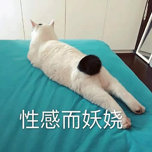 40张沙雕表情包你居然馋我身子,小哥哥进我的圈套
