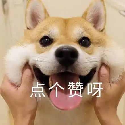 每日一笑,哈哈哈哈也许恐龙就是这么灭绝的
