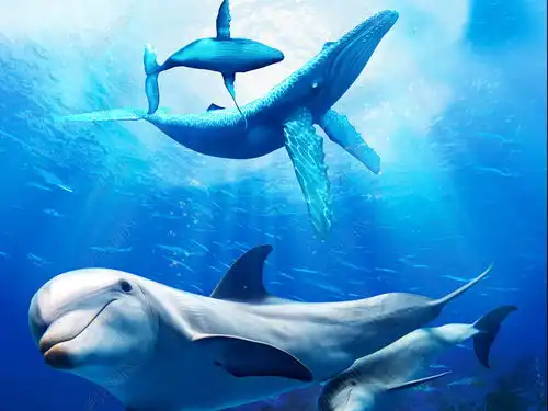 海底世界海豚母子情深3d立体浴室客厅地板图片素材下载
