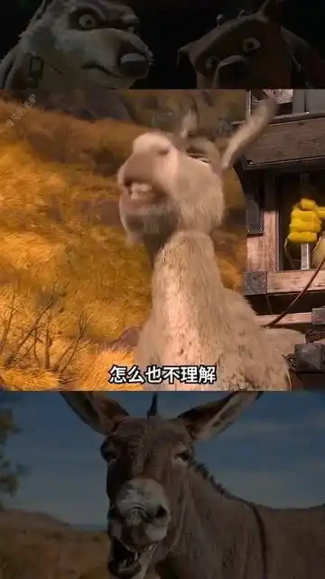 爆笑的小毛驴
