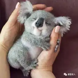 天呐,抓拍到世间最可爱的一瞬间看完太太太太开心了
