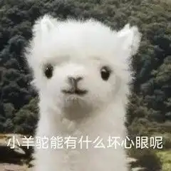 表情包小羊驼能有什么坏心眼呢
