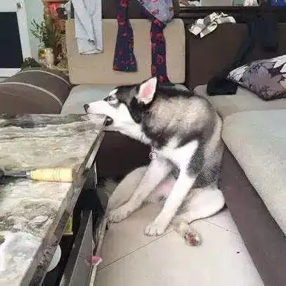 一上午接开门警情百余起,下楼做核酸戴口罩也别忘带钥匙
