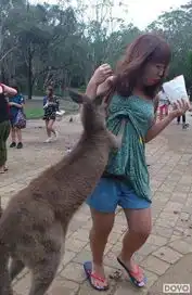 周末囧图实在太凶残了泷泽萝拉继续给力拍av

