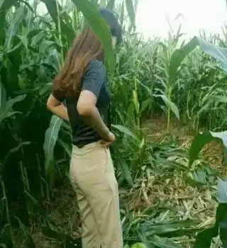 搞笑图片幽默段子笑话你们这群单身狗往哪拍呢拍车啊
