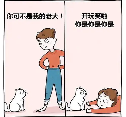 搞笑趣图当老师说这节课大家上自习,班上的同学
