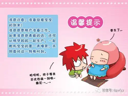 怀孕指南40怀孕40周趣味图解

