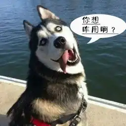 谁能配个图,新出的免费商用字体字体视界法棍提好不好用啊

