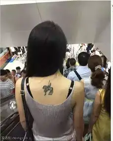 搞笑图片女生去面试时,很贴近现实的一张图....
