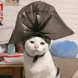 头像我变得再好,你也已经不在了
