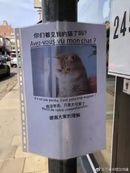 手机里那些看一次笑一次的图片,网友笑出腹肌
