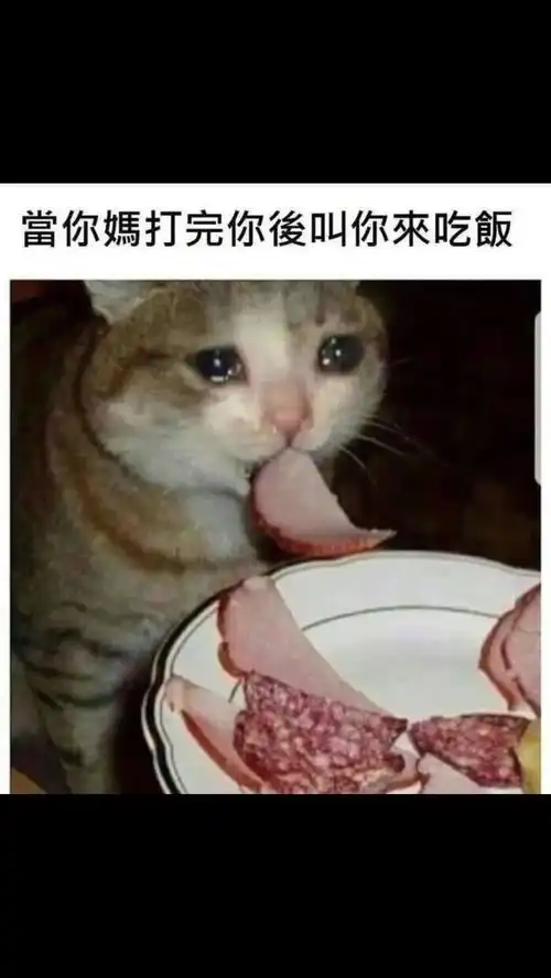 热门搞笑沙雕图
