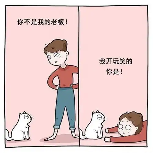 养猫人才懂的痛猫才是家中的王
