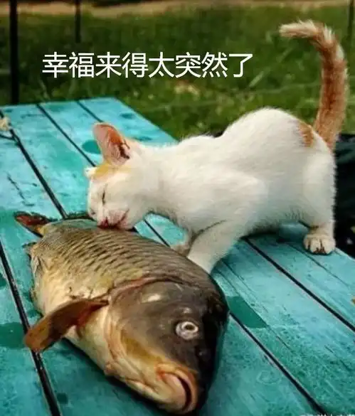 a股又涨嗨了大金融狂奔,一天承包了今年涨幅
