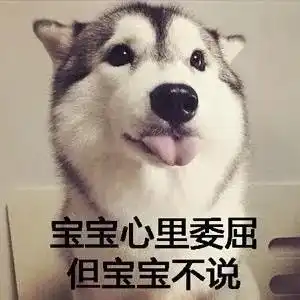 哈士奇送来的七夕礼物这小子没安好心啊
