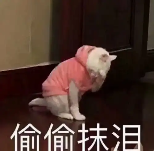 网游史上最恐怖的团战,土豪入场瞬间融化,服务器物价直接崩溃
