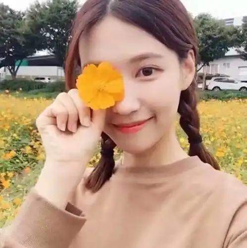 教你如何快速适应新环境
