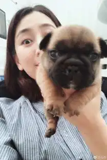 马苏doki超全的马苏资讯粉丝直播活动集合
