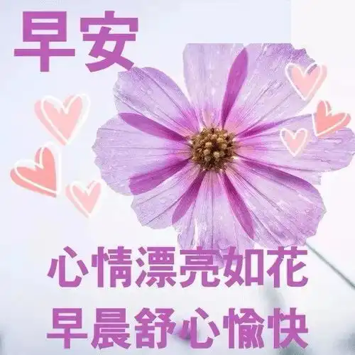早上好问候语图片带字温馨祝福慰问朋友早上好祝福语表情动画图

