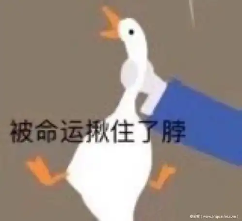 黑客团体揭露大量美国警局和政要罪行mitron可以在几秒钟内被黑客入侵
