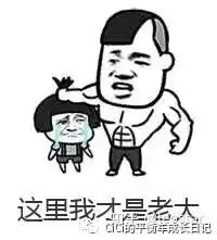 2020年上半年平衡车圈总结报告搞笑版
