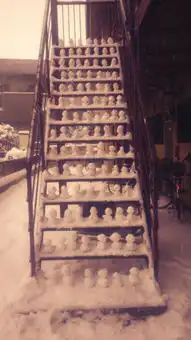 没有做不到爆笑雪人奇葩来袭组图

