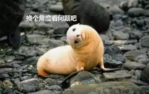 此文专治各种不开心祝您周一上班愉快
