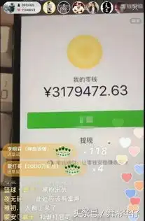 王乐乐超越高迪成快手第四位网红直播炫富微信余额317万
