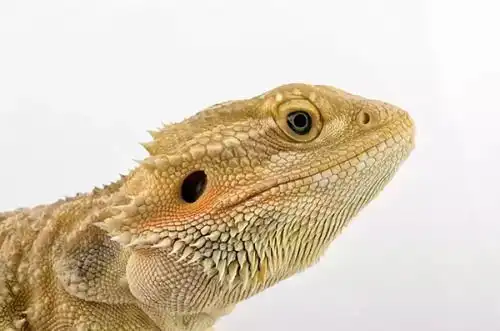天津科普游子首届开营啦
