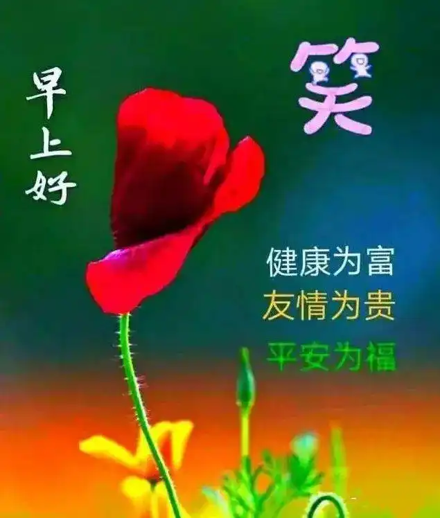 健康为富,友情为贵,平安为福
