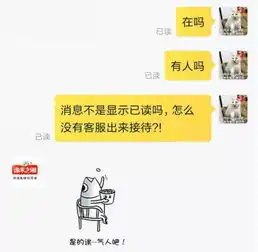 当双十一遇上了戏精客服图片当双十一遇上了戏精客服搞笑聊天表情图片2017最新版极光站
