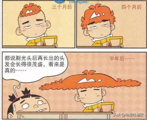 爆笑阿衰阿衰变秃头,收集头发成丐帮掌门
