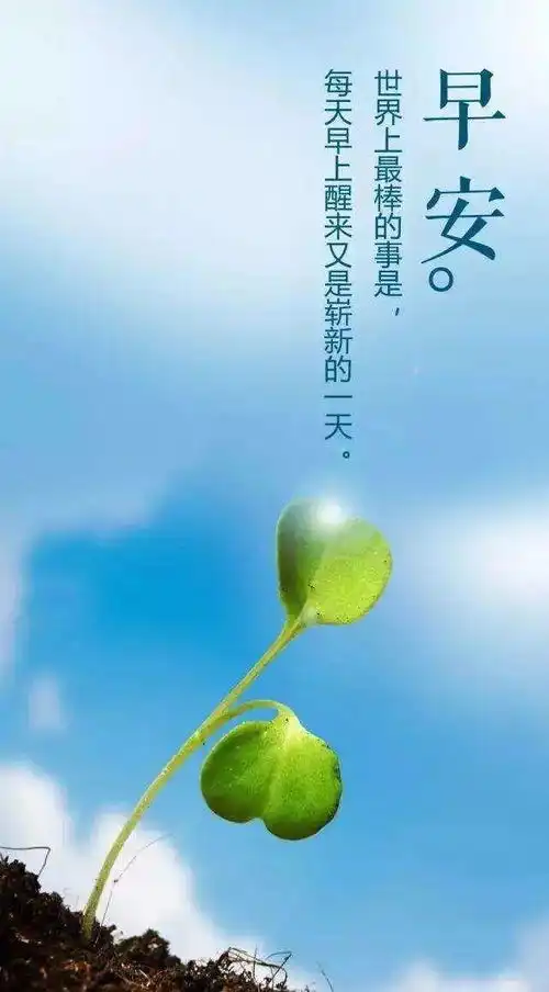 早上好正能量语录最新版漂亮早上好问候语祝福表情图片
