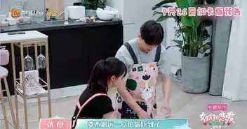 张恒七夕节给郑爽送猪,引人爆笑,网友直男脑回路清奇
