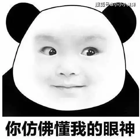 爆笑故事家里的母牛要配种了,老爸说等它大姨妈来了就可以配
