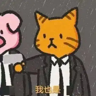 今日头像仅此而已
