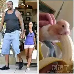 恶搞图片笑话搞笑恶搞图片精选爆笑恶搞图片大全第933页别逗了
