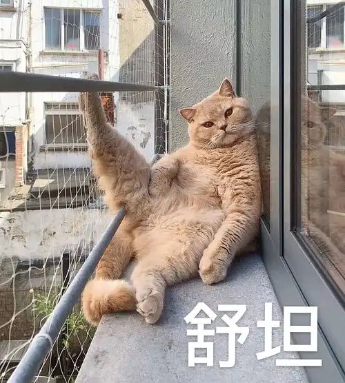 神清气爽仿佛受到了洗礼
