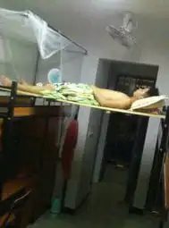 大学寝室奇葩舍友盘点无聊生活乐趣无穷6093084教育图片库大视野
