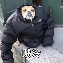 天津大风喜提热搜妖风有多大所有照片全在这里
