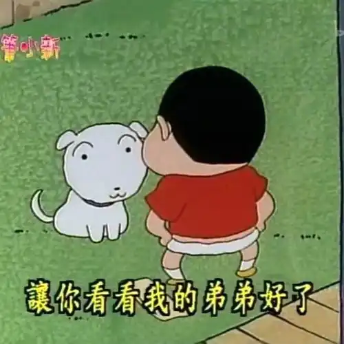 表情包
