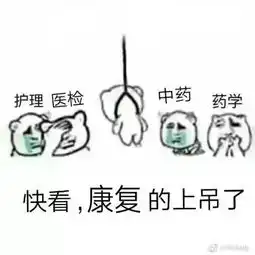 据说每个专业都有属于自己的表情包,看完不笑算我输
